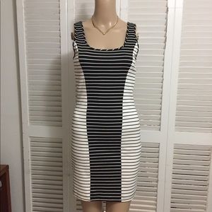 Stretchy Fitted Dress